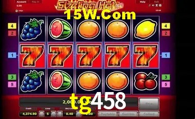 Promoções Sazonais tg458